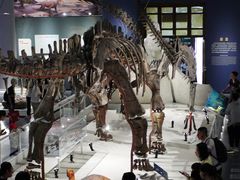 -国家自然博物馆