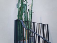 -大树餐厅(红旗街万达店)