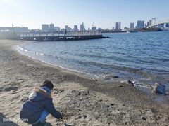 -台场海滨公园船码头