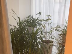 -逸栈养生SPA(望京店)