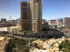 -拉斯维加斯永利酒店