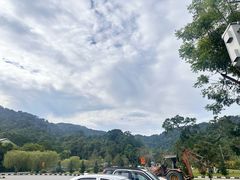 -槟城植物园