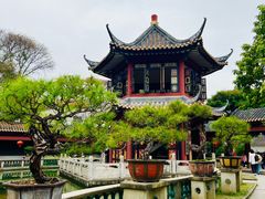 -碧江金楼