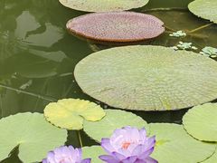 -国家植物园南园