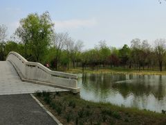 -东郊湿地公园