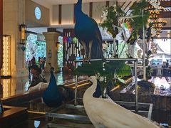 -西双版纳融创皇冠假日度假酒店