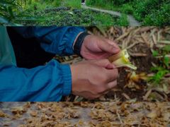 -藏龙百瀑风景区