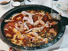 -大江美蛙鱼火锅(都江堰店)
