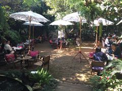 景观位-Fern Forest Cafe