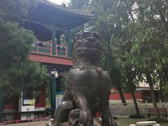 -莲池书院博物馆