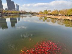 -西海子公园