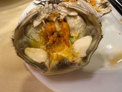 -王宝和酒家(黄浦店)