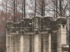 -音乐台