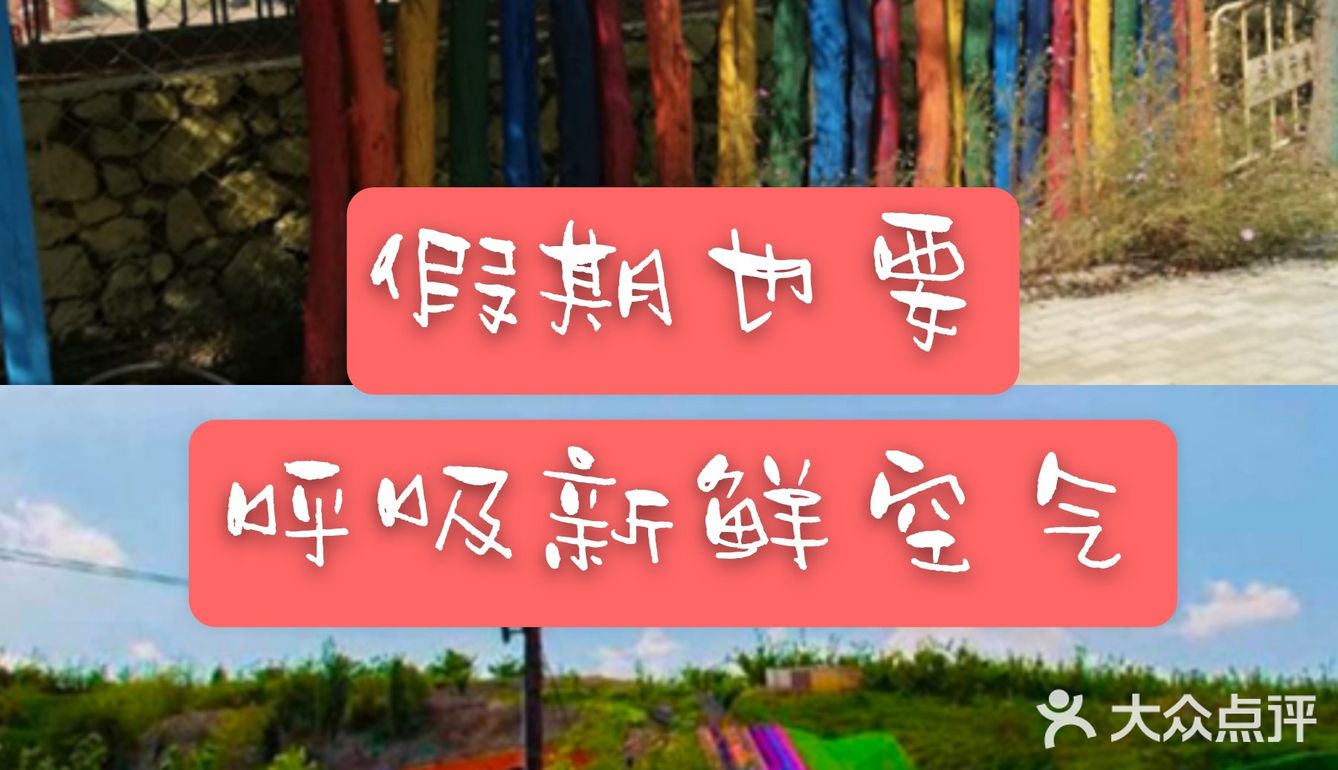 🐥欢乐风车谷🍁