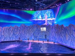 -珠海横琴长隆《卡卡虎奇遇记》