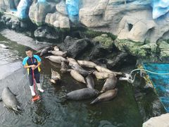 -华夏文旅海洋公园