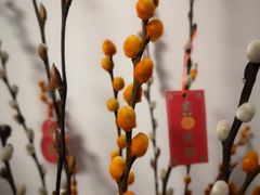 -双季花艺园艺市场(浦东店)