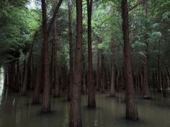 -捞渔河湿地公园