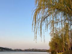 -羊山湖公园