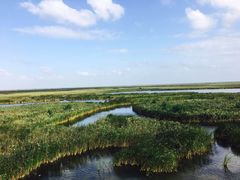 -盐城丹顶鹤湿地生态旅游区