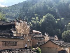 -杨家堂村