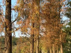 -南国桃园旅游度假区