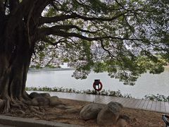 -南国桃园旅游度假区