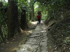 -东天目山风景区