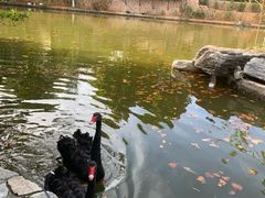 -静之湖度假区