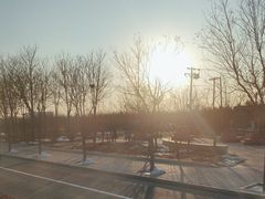 -大星发农发地农副产品批发市场-停车场