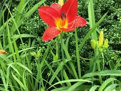 -贵阳市花溪国家城市湿地公园