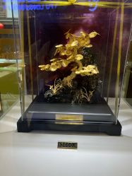 -金展珠宝广场