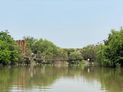 -吴淞炮台湾湿地森林公园烧烤区