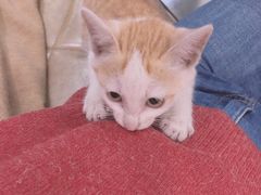 -WATER CAFE(广厦店)