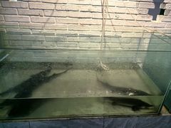 -红井路游艺炖锅·音乐餐吧(十渡店)