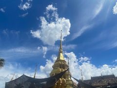 -西双版纳傣族园