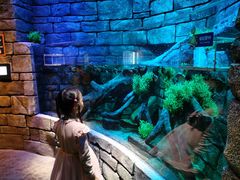 -沈阳海洋探索中心