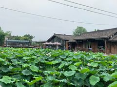 -莫催咖啡