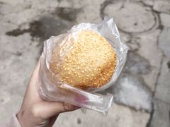 -西南政法大学(沙坪坝校区)