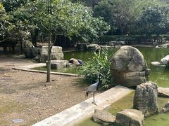 -黔灵山公园
