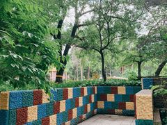 -黑龙江省森林植物园
