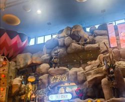 -卡通尼·Safari非洲探索乐园·生日会(金桥国际商业广场店)