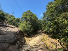 -大尖山公园