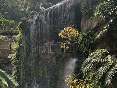 -吉隆坡雀鸟公园