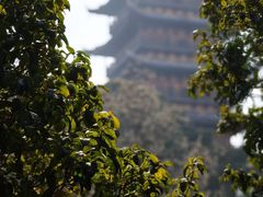 -常熟方塔园