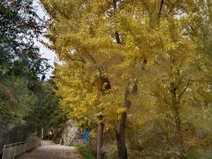 -阳台山自然风景区