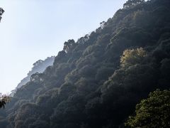 -天明山温泉大酒店