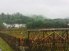 -井冈山风景名胜区