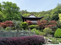 -十八棵（老龙井）御茶园(老龙井店)