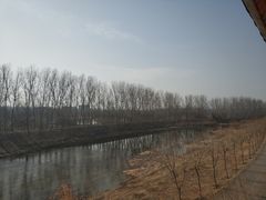-东郊湿地公园